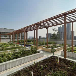 东兴小学劳动基地改造工程