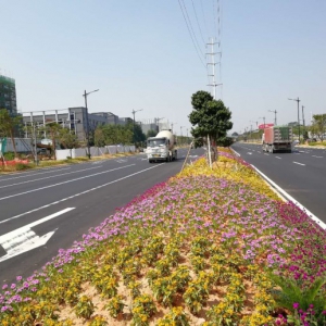 香山大道